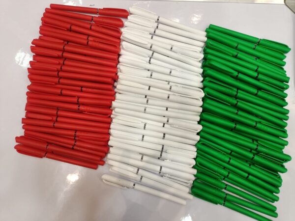 Customized Ball Pens (Pack of 100)